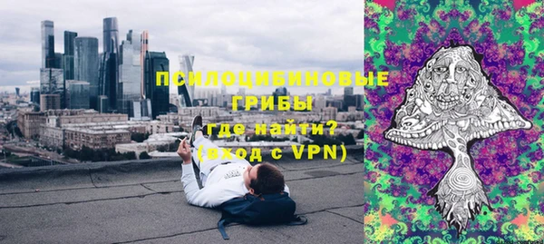 PSILOCYBIN Армянск