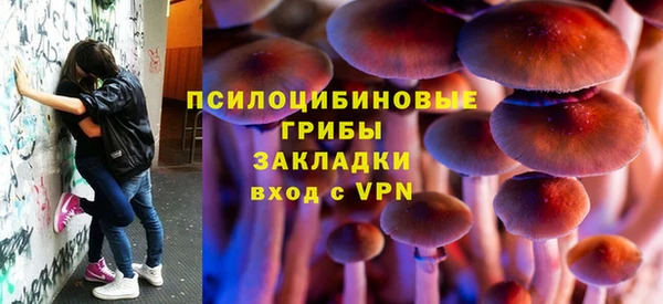 PSILOCYBIN Армянск