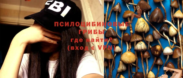 метадон Арсеньев