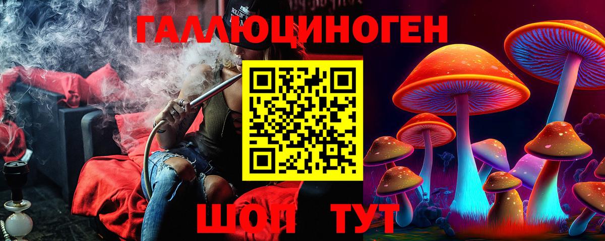 Новошахтинск  Псилоцибиновые грибы Cubensis  Вход с VPN  Галлюциногенные грибы прущие грибы 