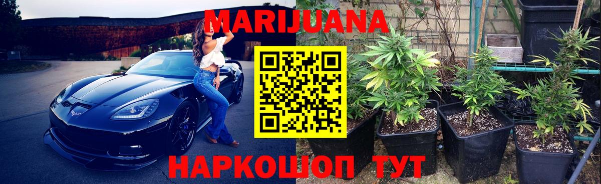 Шишки марихуана сатива Новошахтинск
